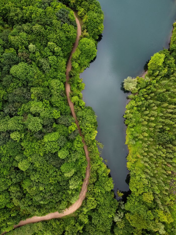 portfolio-05 Stunning aerial shot of a winding river amidst vibrant green forest foliage.